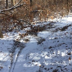 Meet your Posher, Chase